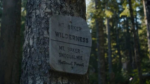 Mount Baker Wilderness Sign Stock Footage 93210603