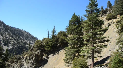 Mount Baldy Ski area Stock Footage 27814712