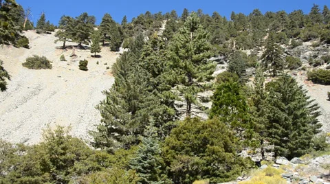 Mount Baldy Ski area Stock Footage 27814863