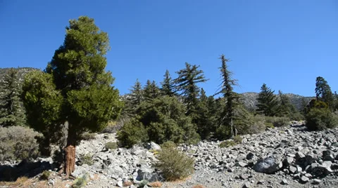 Mount Baldy Ski area Stock Footage 27815262