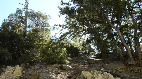 Mount Baldy Ski area Stock Footage 27815329
