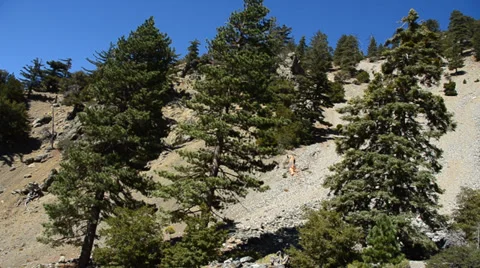 Mount Baldy Ski area Stock Footage 27815380