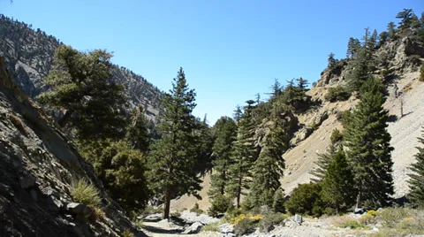 Mount Baldy Ski area Stock Footage 27815429