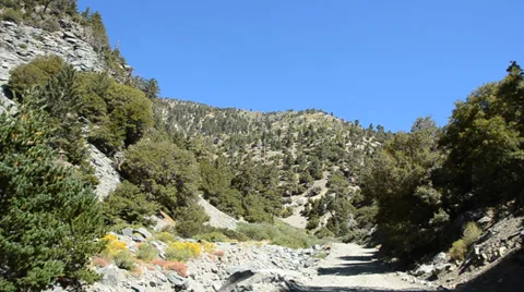 Mount Baldy Ski area Stock Footage 27815546