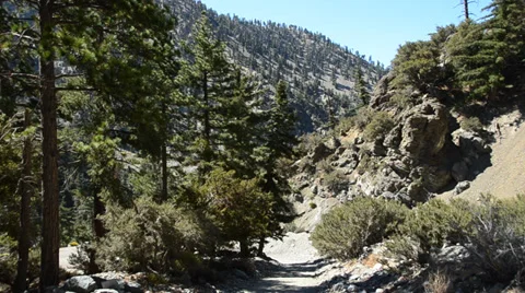 Mount Baldy Ski area Stock Footage 27815562