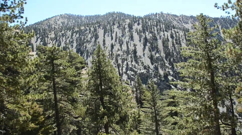 Mount Baldy Ski area Stock Footage 27816590