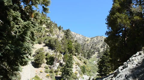 Mount Baldy Ski area Stock Footage 27816709