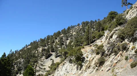 Mount Baldy Ski area Stock Footage 27817377