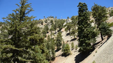 Mount Baldy Ski area Stock Footage 27817566