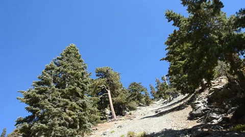 Mount Baldy Ski area Stock Footage 27817718