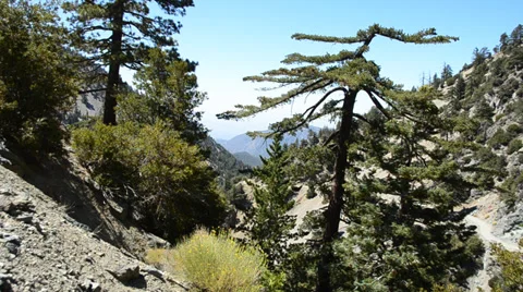 Mount Baldy Ski area Stock Footage 27818231