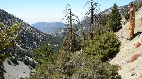 Mount Baldy Ski area Stock Footage 27818339