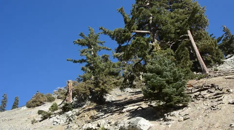 Mount Baldy Ski area Stock Footage 27818575