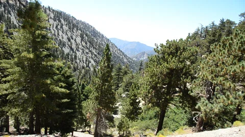 Mount Baldy Ski area Stock Footage 27818590