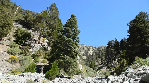 Mount Baldy Ski area Stock Footage 27818973