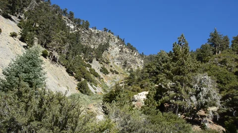 Mount Baldy Ski area Stock Footage 27819368