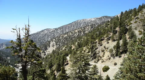 Mount Baldy Ski area Stock Footage 27819714