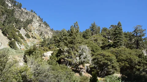 Mount Baldy Ski area Stock Footage 27819971