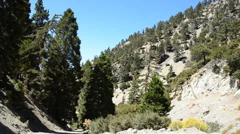 Mount Baldy Ski area Stock Footage 27819981