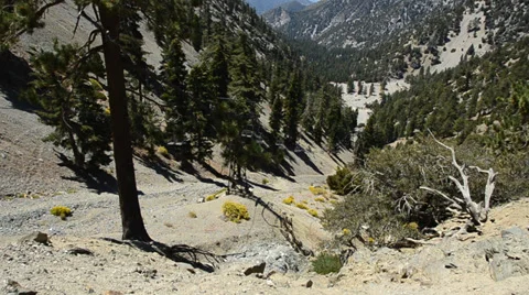 Mount Baldy Ski area Stock Footage 27820187