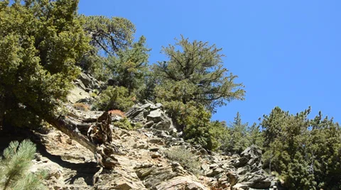 Mount Baldy Ski area Stock Footage 27820545