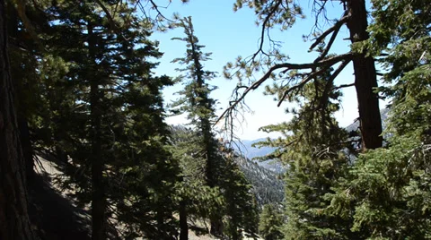 Mount Baldy Ski area Stock Footage 27820800