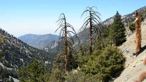 Mount Baldy Ski area Stock Footage 27820938