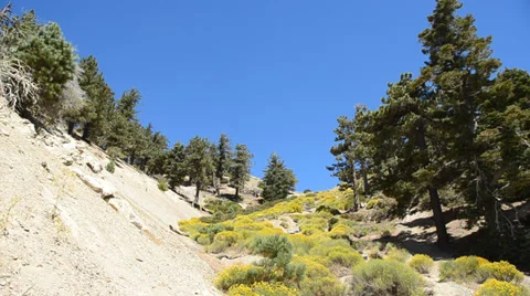 Mount Baldy Ski area Stock Footage 27821320