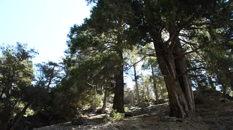 Mount Baldy Ski area Stock Footage 27821620