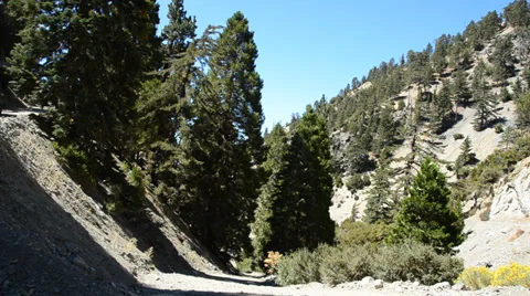 Mount Baldy Ski area Stock Footage 27821745