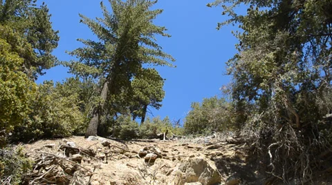 Mount Baldy Ski area Stock Footage 27821932
