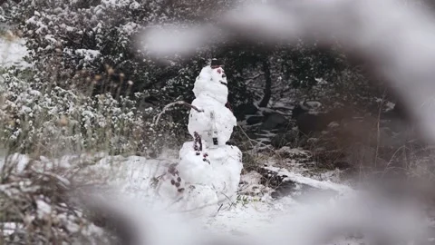 Mount Baldy Snow two Stock Footage 230852981