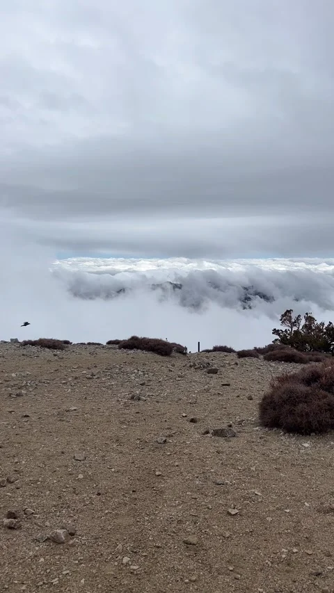 Mount Baldy Summit Ravens Flying Through Clouds Vertical 4K Vídeo Stock 334231311