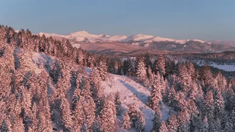 Mount Blue Sky spring pink morning sunrise alpenglow Conifer Evergreen Colorado Stock Footage 336274660