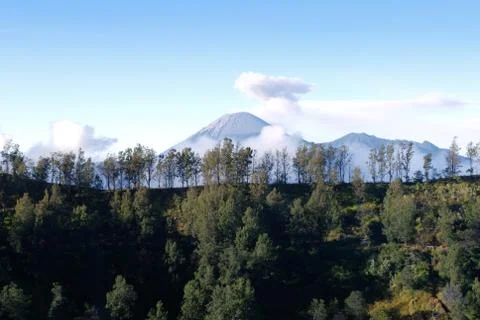 Mount Bromo an active volcano behind green trees in East Java, Indonesia. Stock Photos