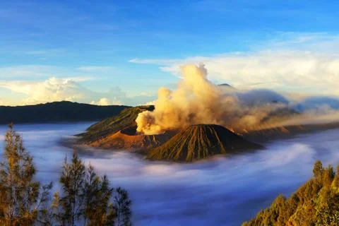 Mount Bromo, active volcano during sunrise. Stock Photos