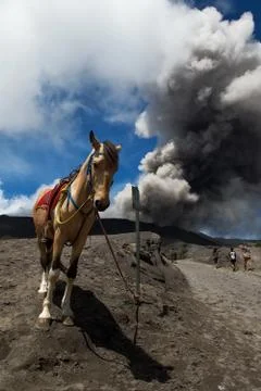 Mount Bromo Stock Photos