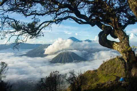 Mount Bromo Stock Photos