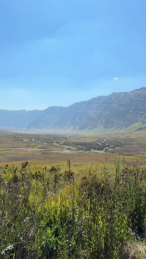 Mount Bromo Savannah. A Bromo Tengger  National Park in East Java, Indonesia 스톡 동영상 342686235