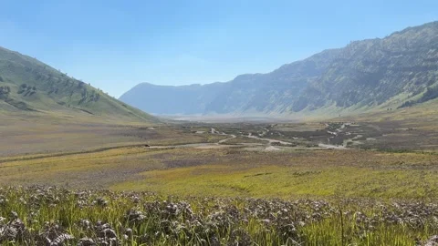 Mount Bromo Savannah. A Bromo Tengger  National Park in East Java, Indonesia Vidéo 342686236