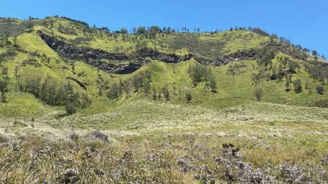 Mount Bromo Savannah. A Bromo Tengger  National Park in East Java, Indonesia Vidéo 342686282