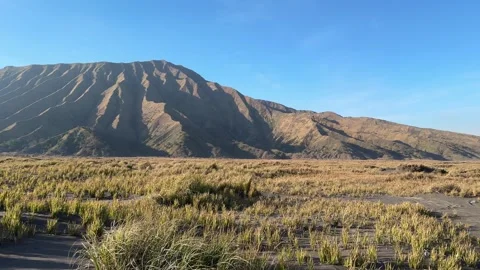 Mount Bromo Sea of Sand and Savannah. A national park in East Java, Indonesia Vidéo 342686151
