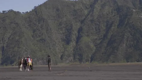 Mount Bromo tourists Vídeos de archivo 201136830