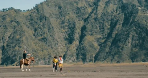 Mount Bromo tourists Vídeos de archivo 201139050