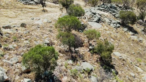 Mount Brown Lookout with views of  the town of York and Mt Bakewell Stock Footage 280328102