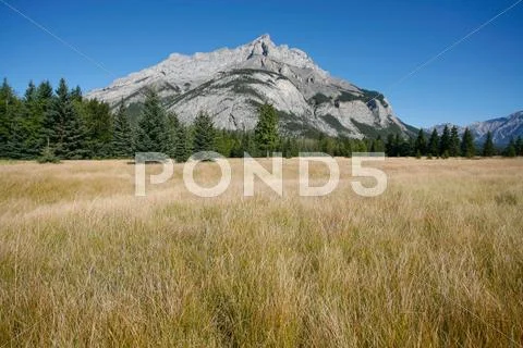 Mount cascade Stock Photos