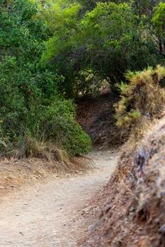 Mount Chimaera, Trkiye. Dirt Path Through Trees and Vegetation Stock Photos