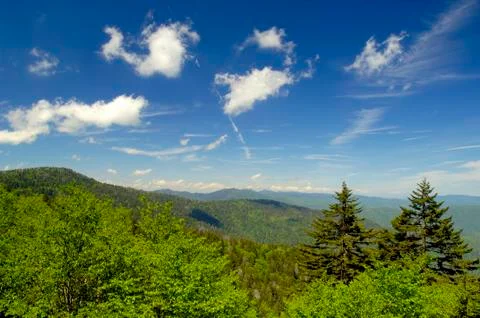 Mount Collins Stock Photos