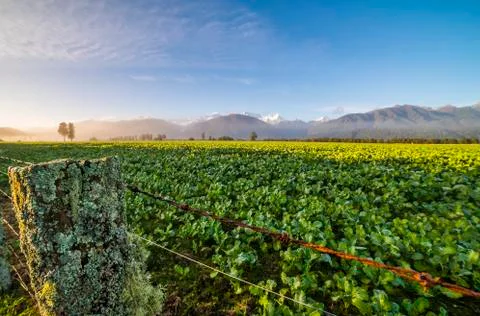 Mount Cook view Stock Photos