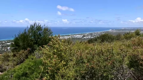 Mount Coolum Summit Track: Scenic Coastal Views and Lush Greenery on Queens.. Stock Footage 295241688